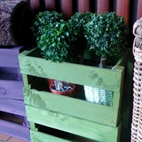 Kasse, gr�n
